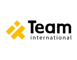 TEAM International Services Inc.