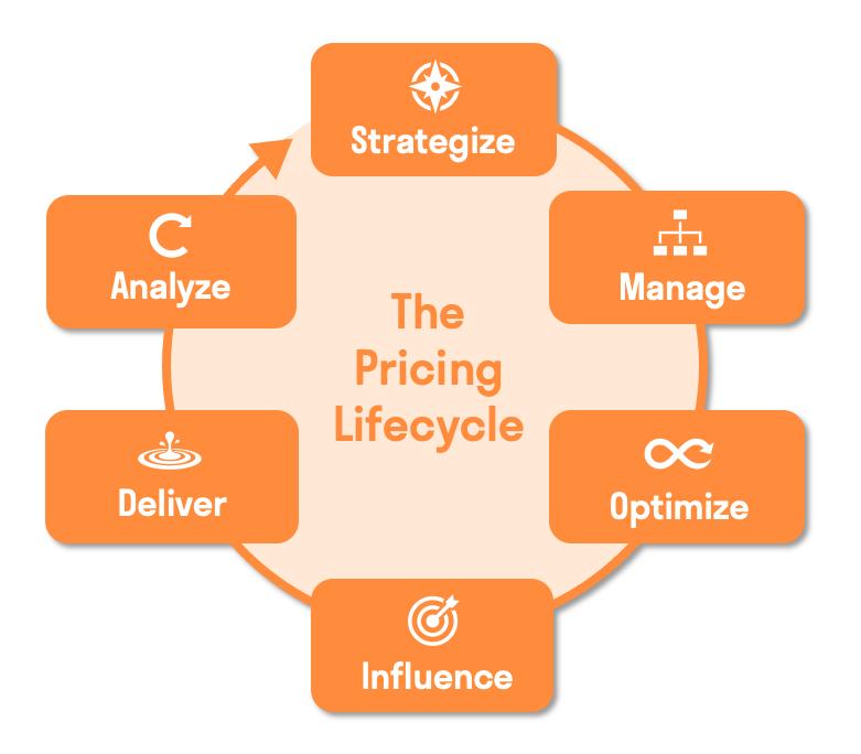 The Pricing Lifecycle